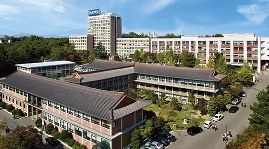 Hannam University